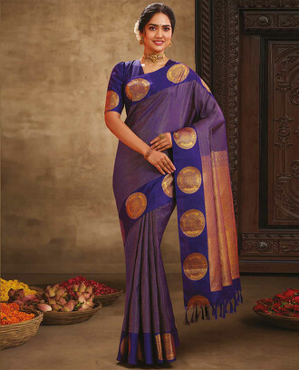 Blue+zari+checked+design+vasundhara+silk+mix+saree%2C+self-border+of+embellished+chakram+designs+%26+intricate+pallu+